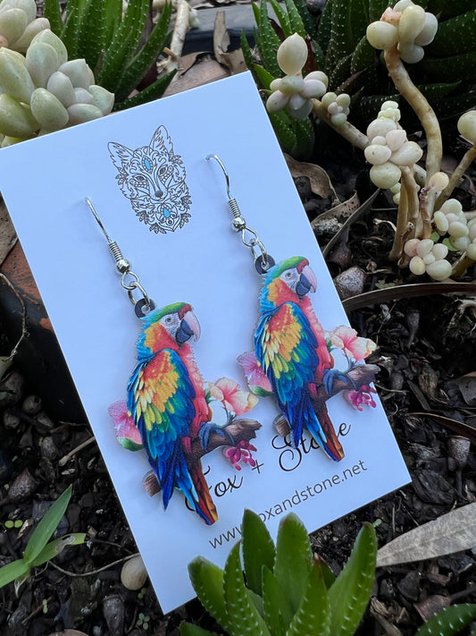 Stunning Parrot Earrings