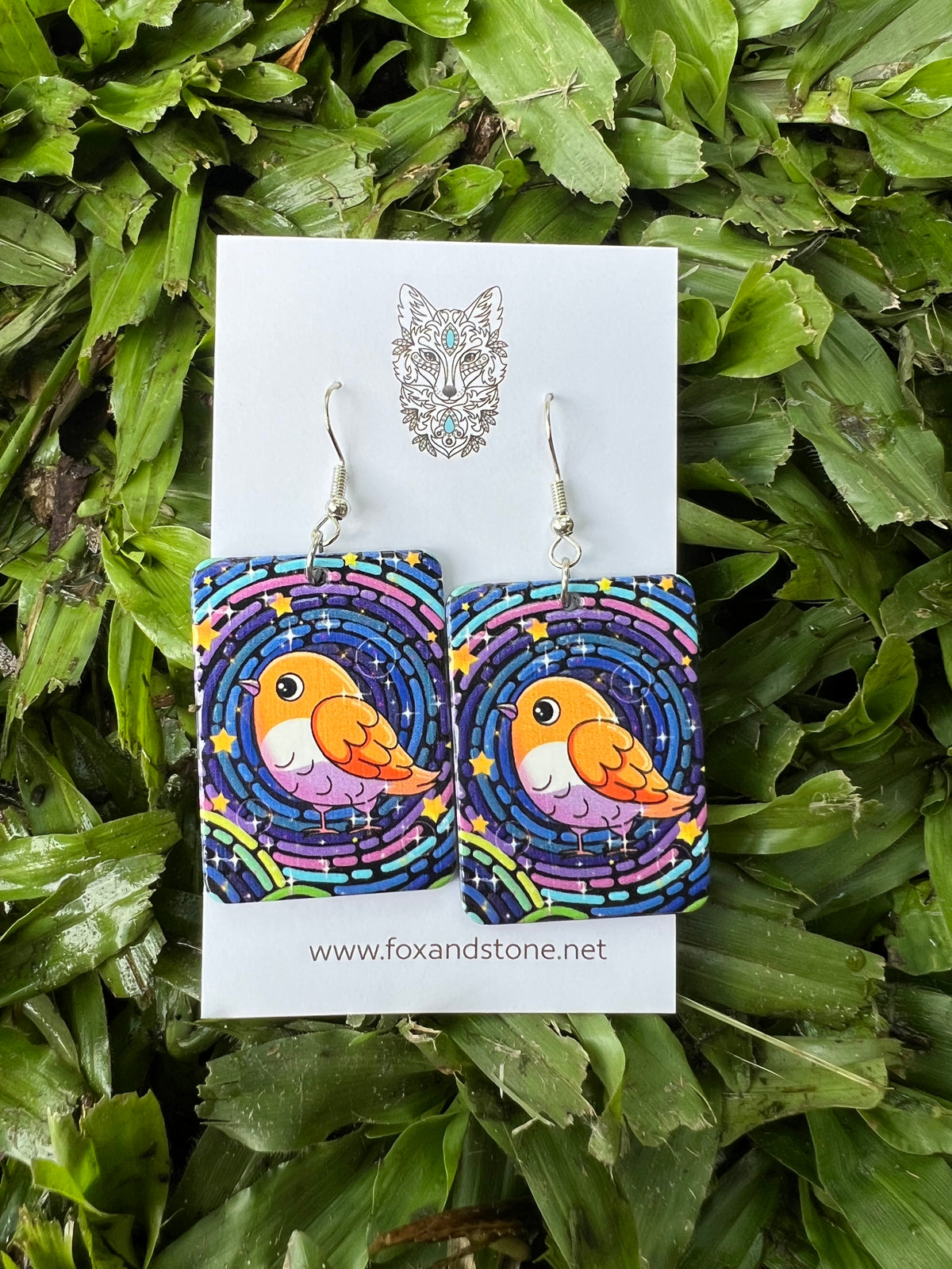 Pretty Robin Bird Earrings