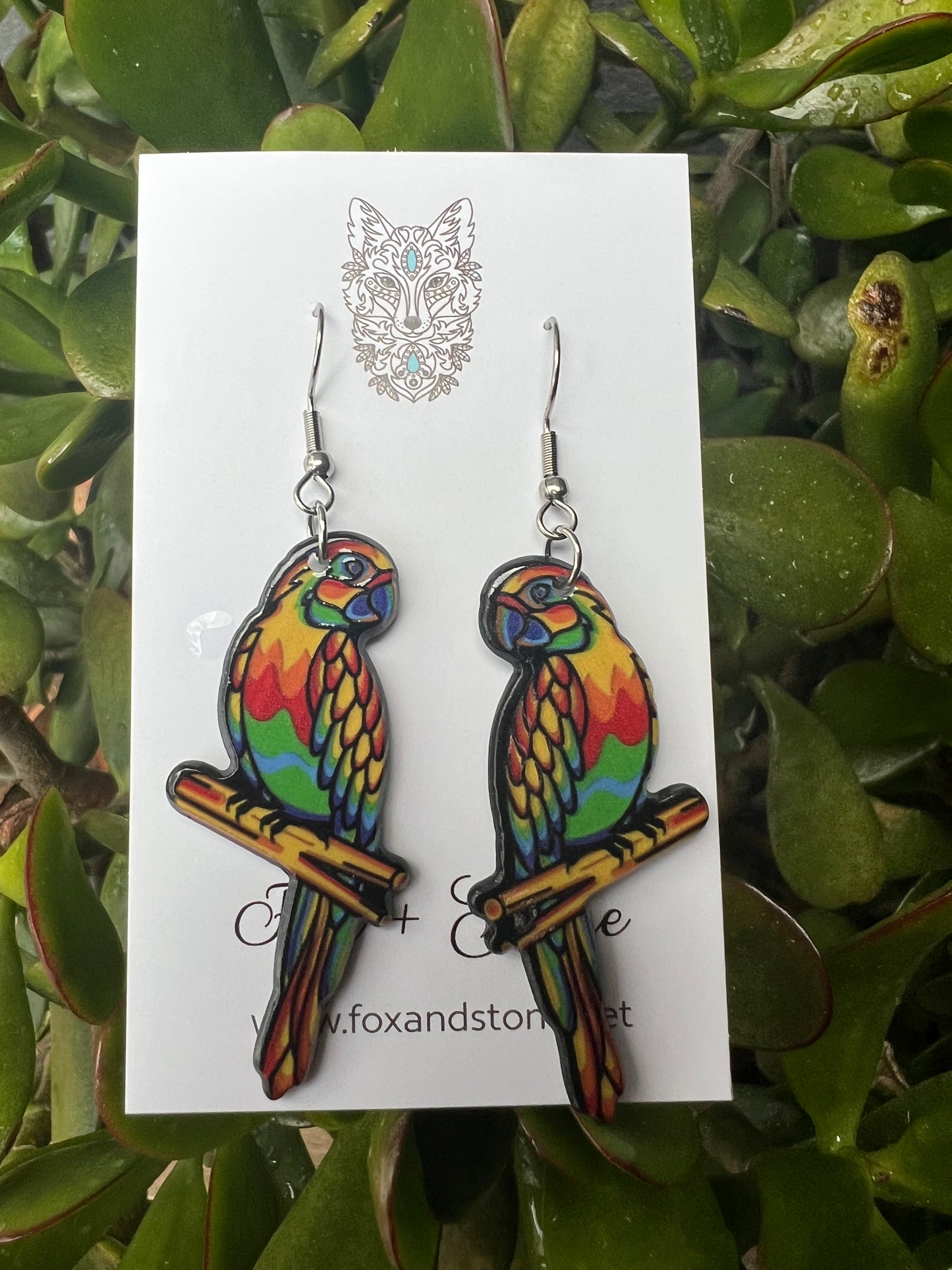 Stunning Resin Parrot Earrings