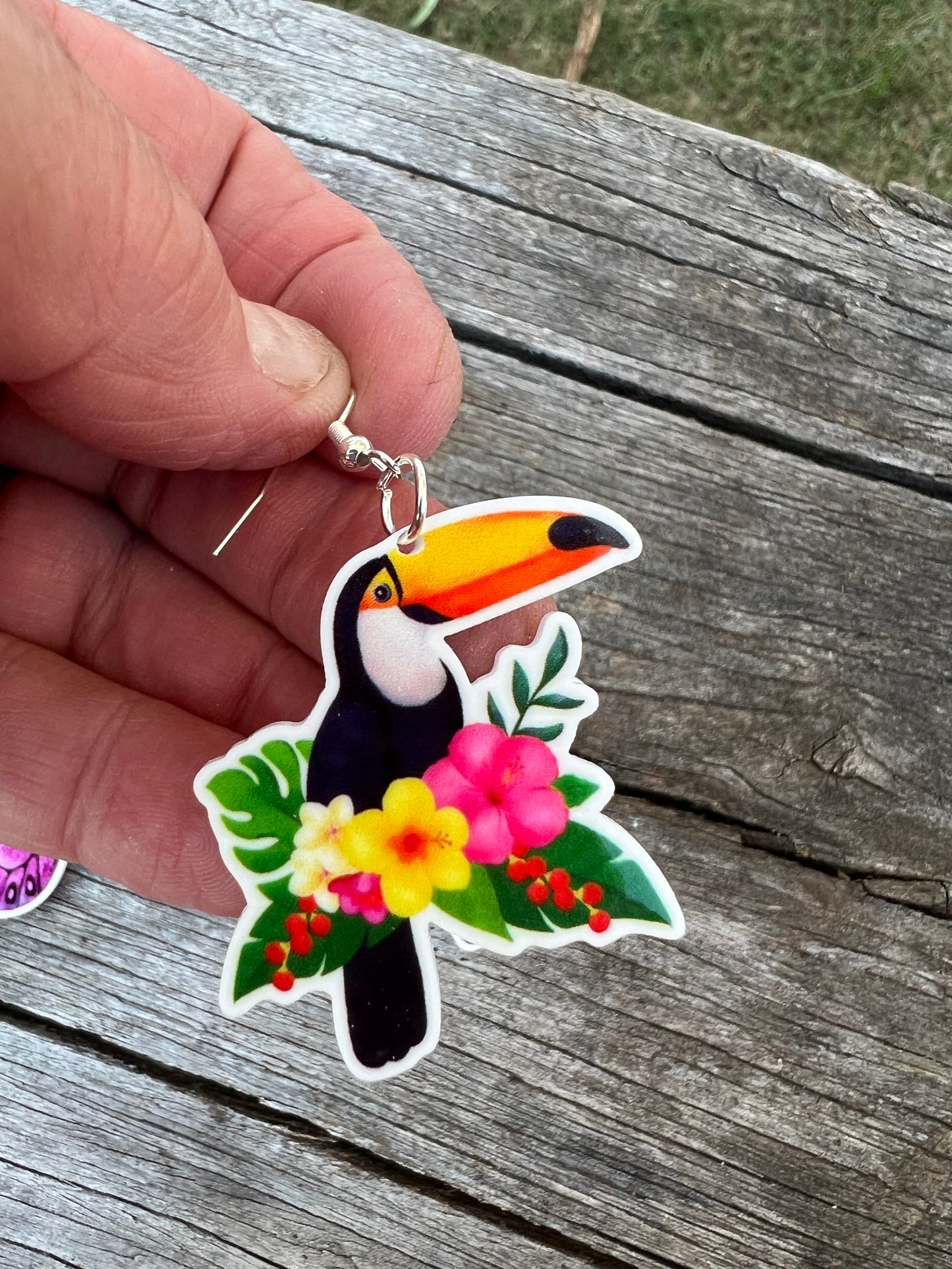Stunning Toucan Earrings