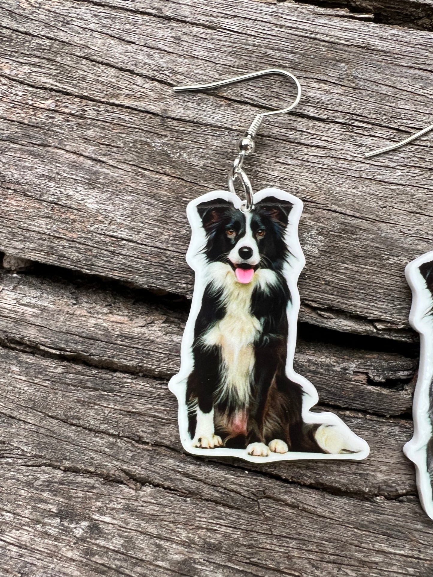 Beautiful Border Collie Dog Earrings
