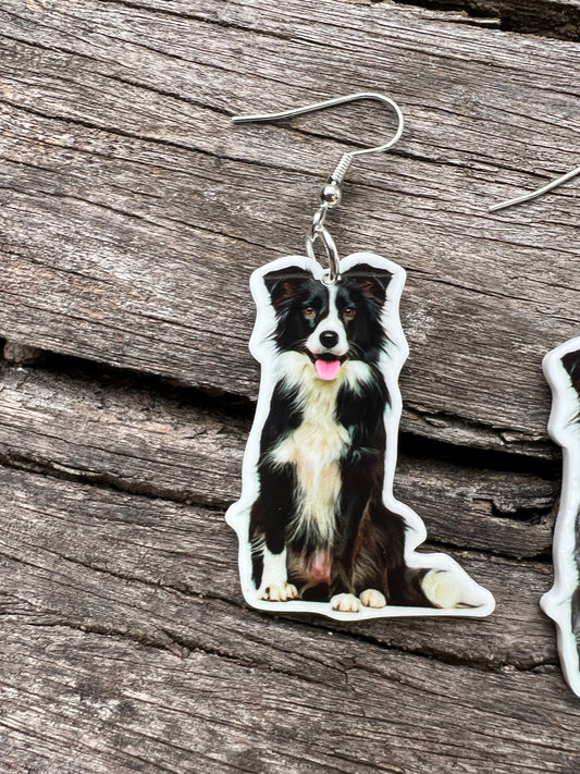 Beautiful Border Collie Dog Earrings