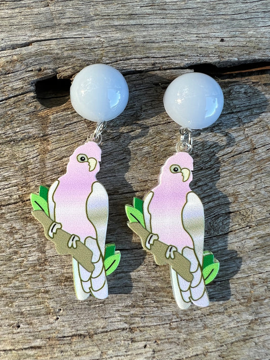 Gallah Bird Stud Earrings