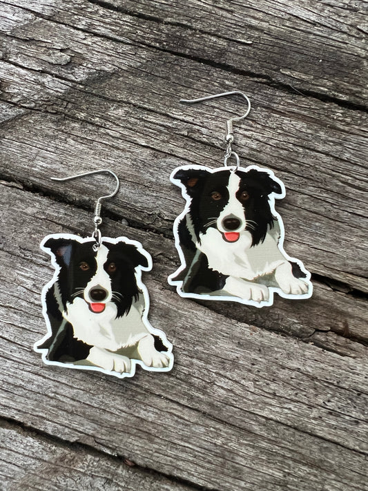 Border Collie Dog Earrings