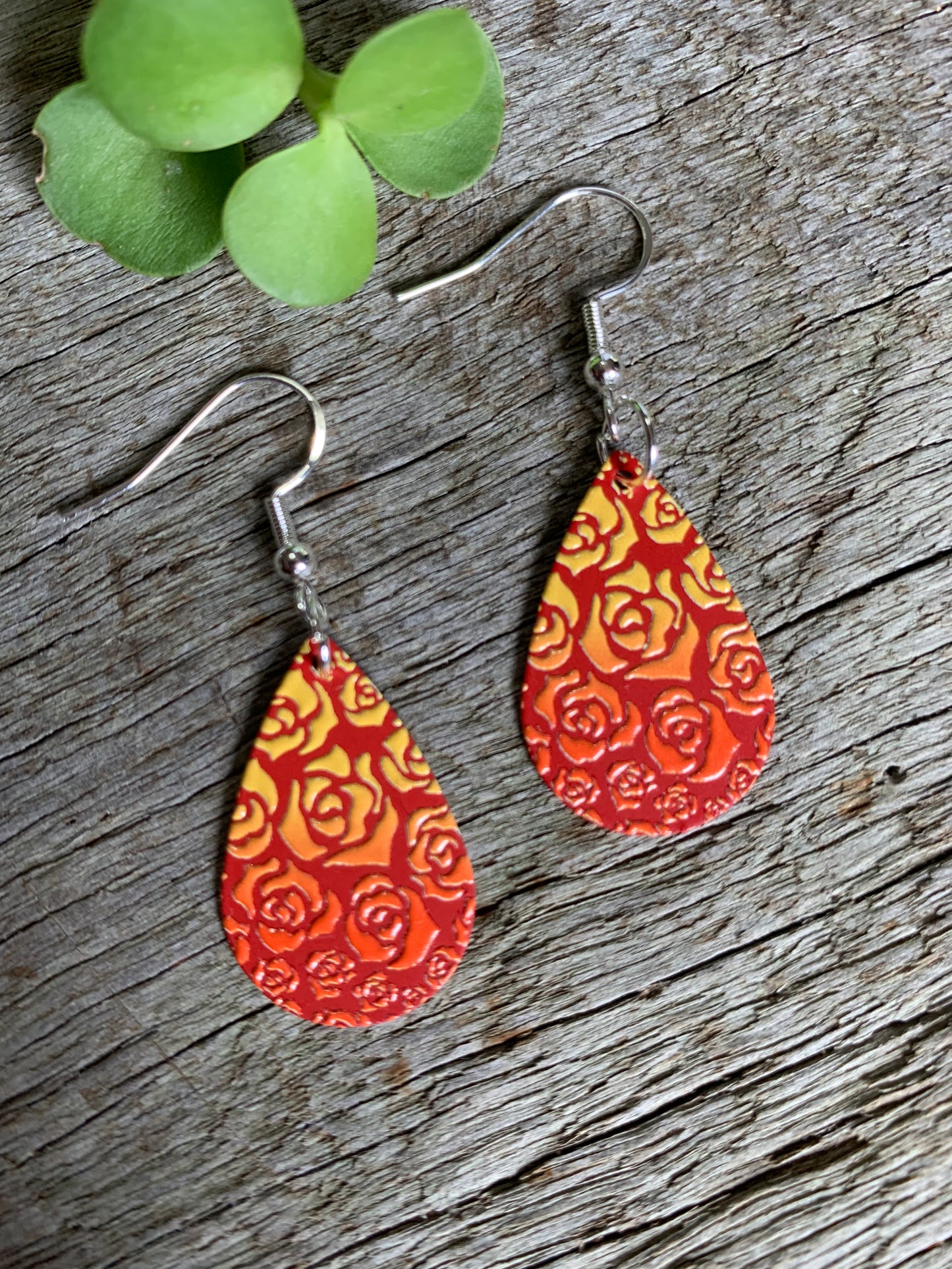Ombre Teardrop Earrings