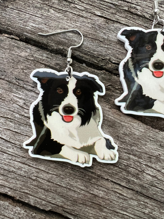 Border Collie Dog Earrings