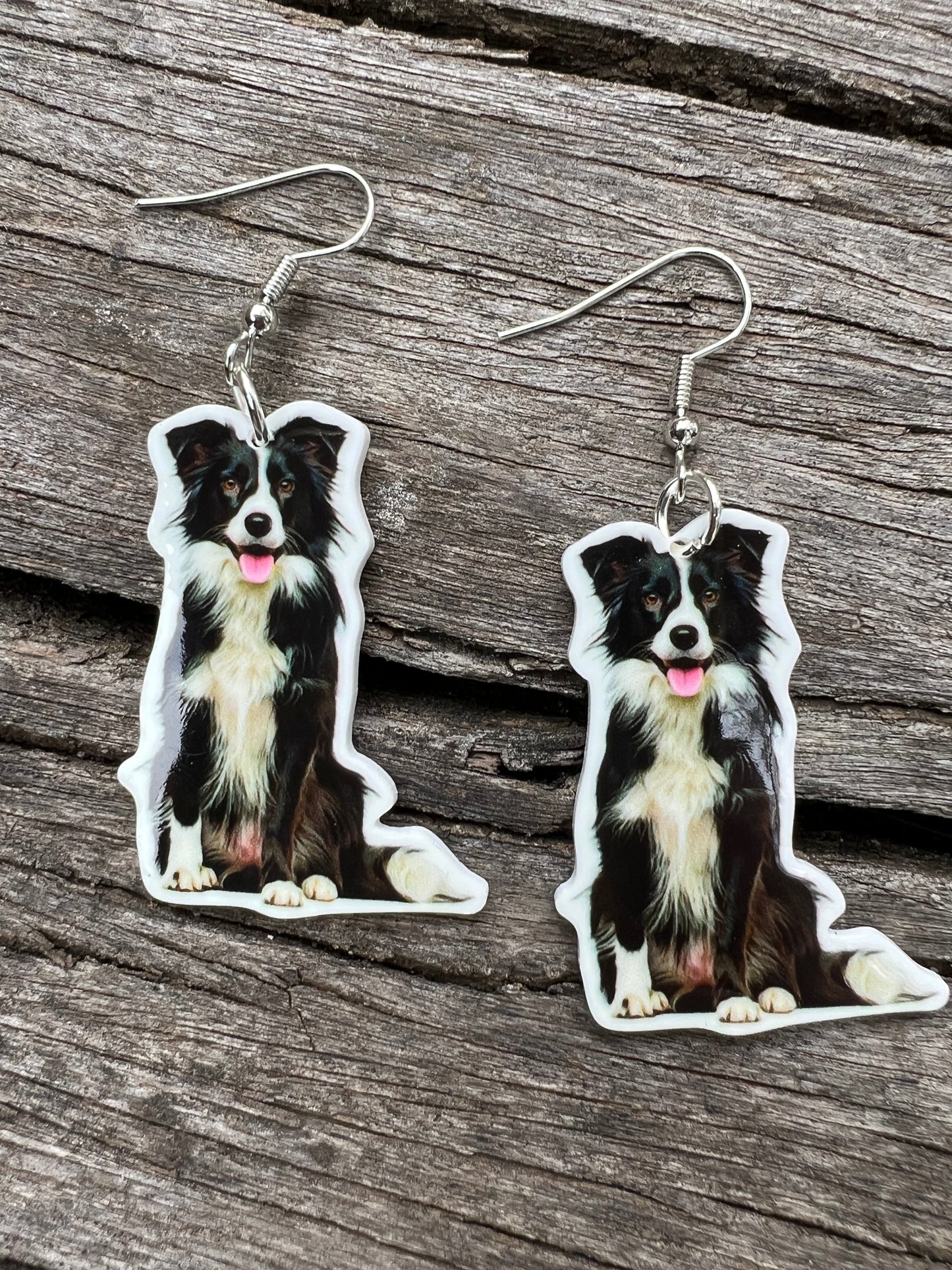 Beautiful Border Collie Dog Earrings
