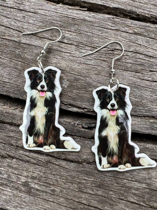 Beautiful Border Collie Dog Earrings
