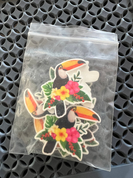 Pretty Toucan Bird Earrings