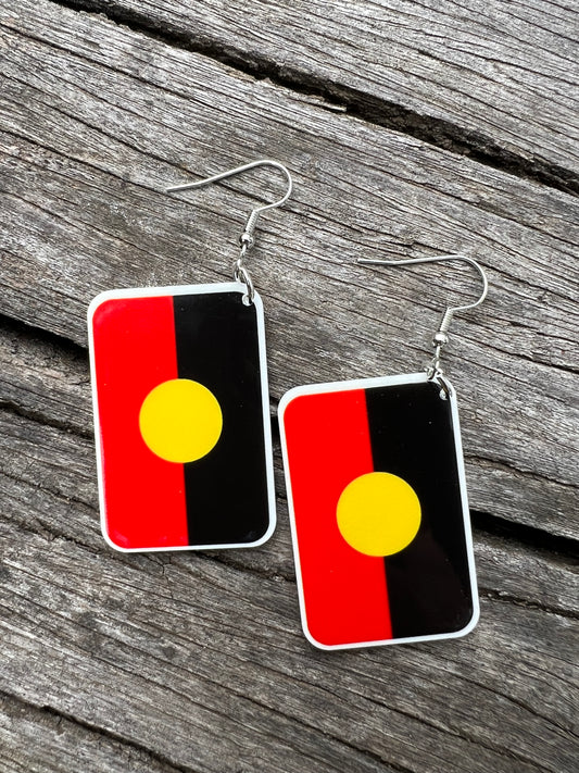 Indigenous Flag Earrings