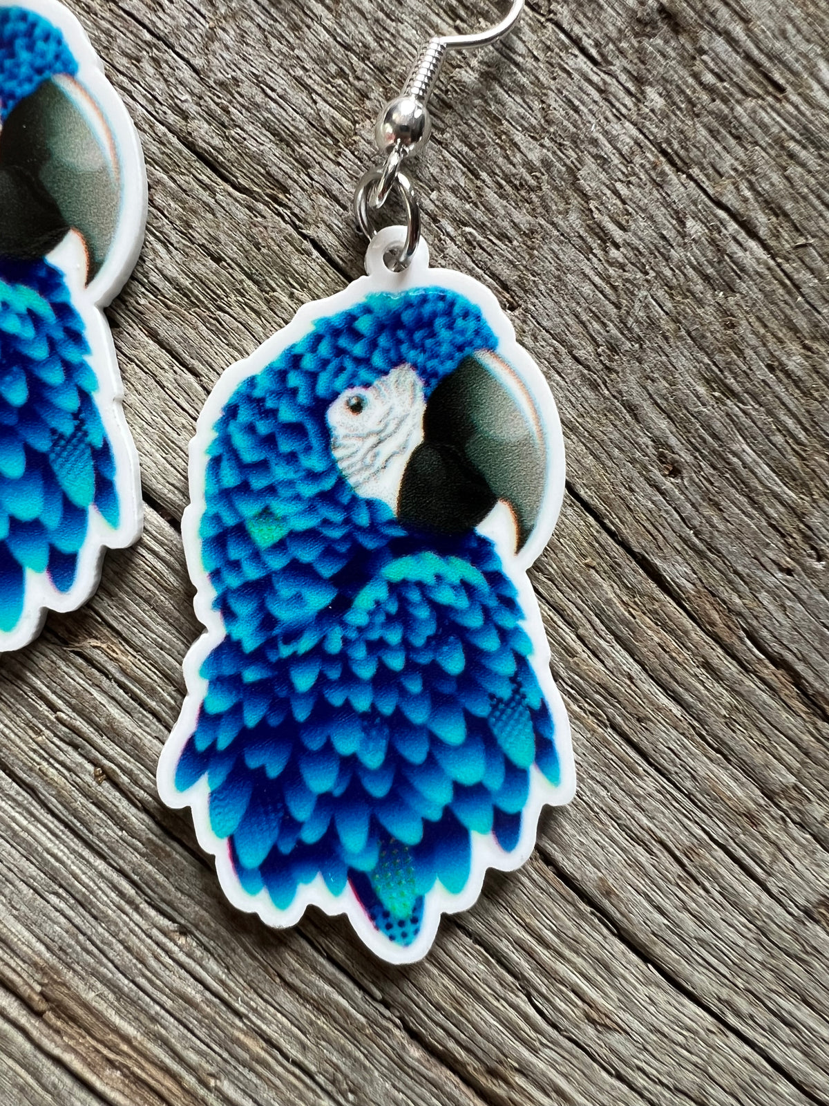 Pretty Blue Parrot Bird Earrings