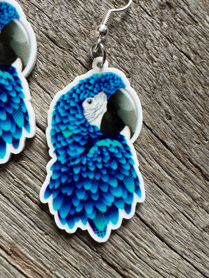 Pretty Blue Parrot Bird Earrings