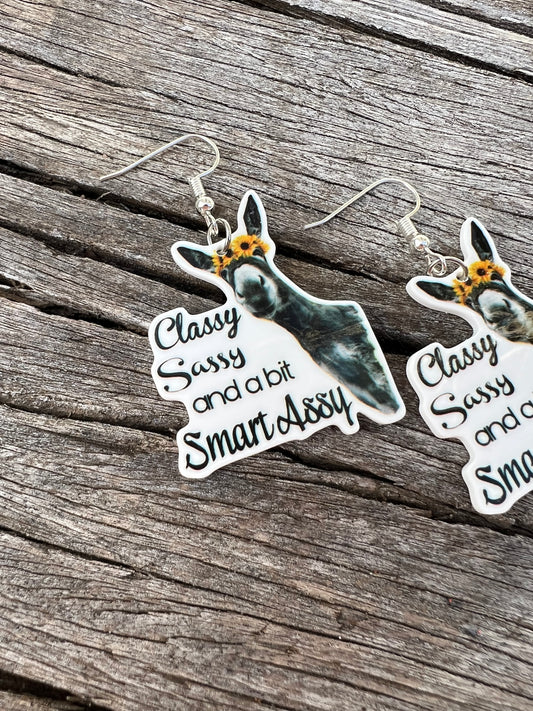 Classy + Sassy Earrings