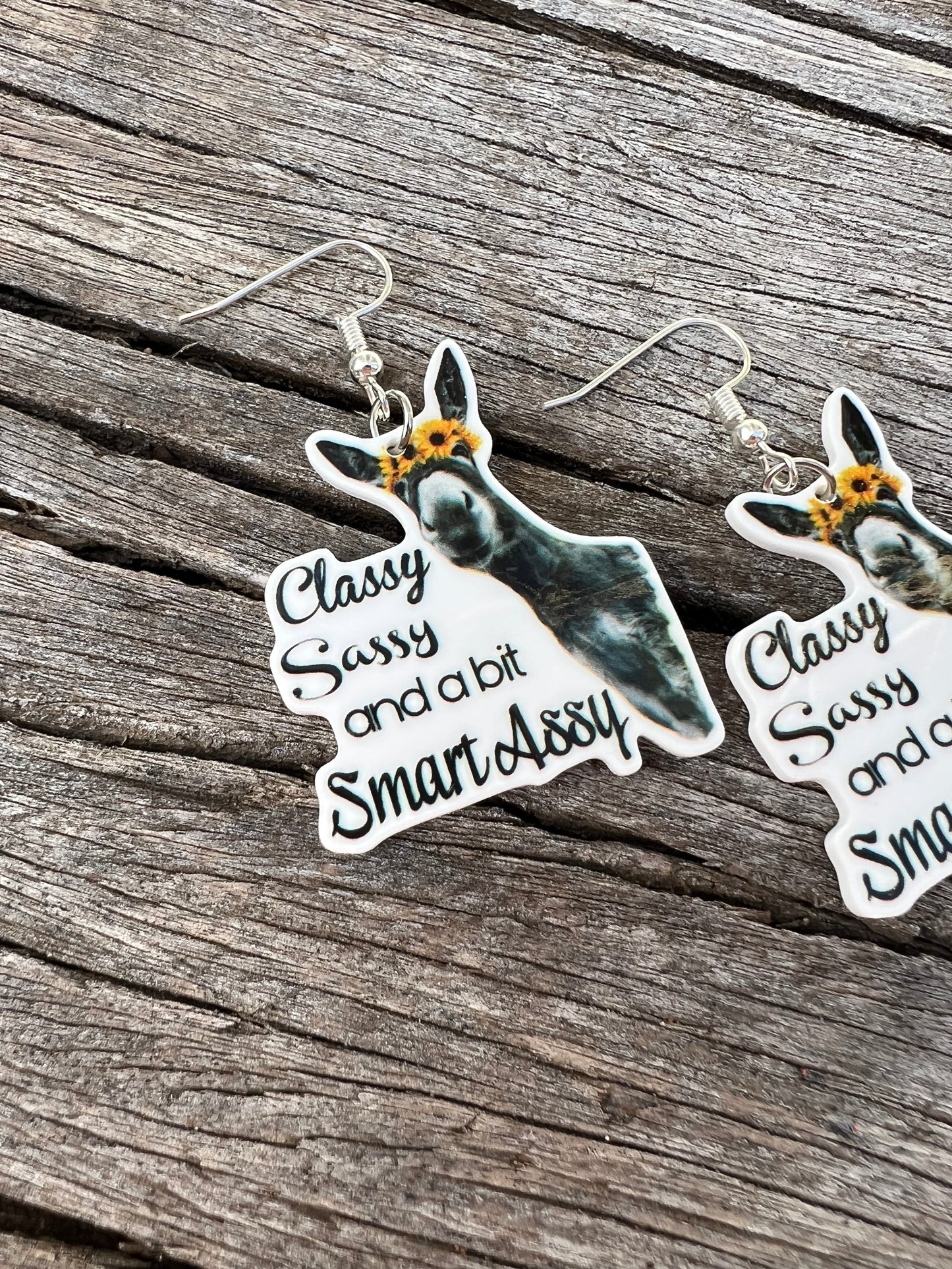 Classy + Sassy Earrings
