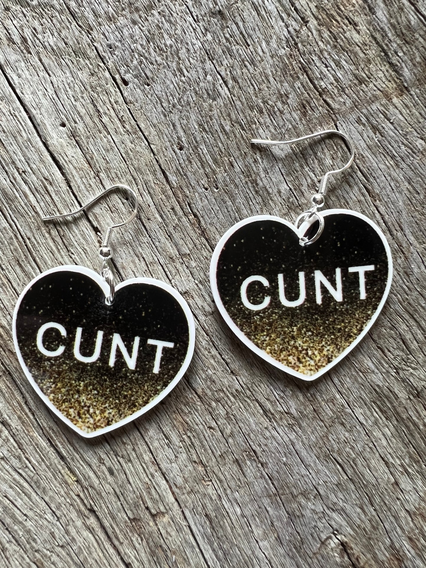 Naughty Word Earrings 😊