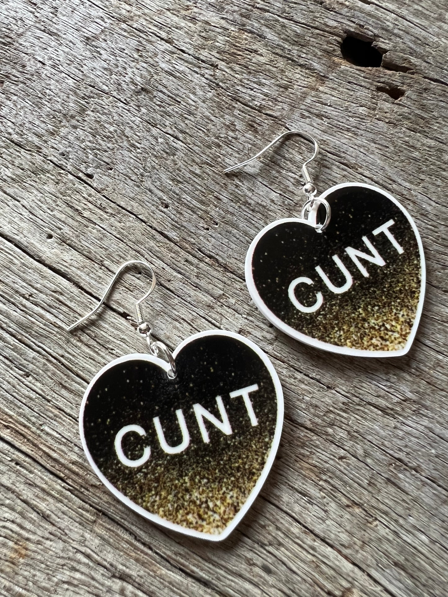 Naughty Word Earrings 😊